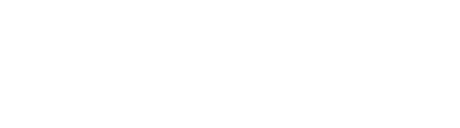 Logo RSNB 20 an, négatif blanc