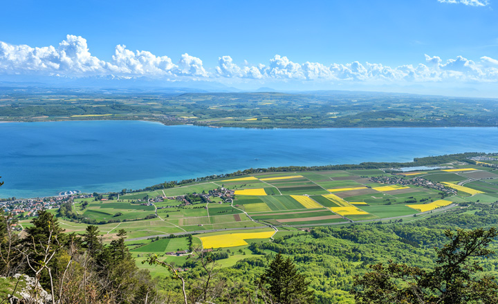 Transformer, depuis les territoires...